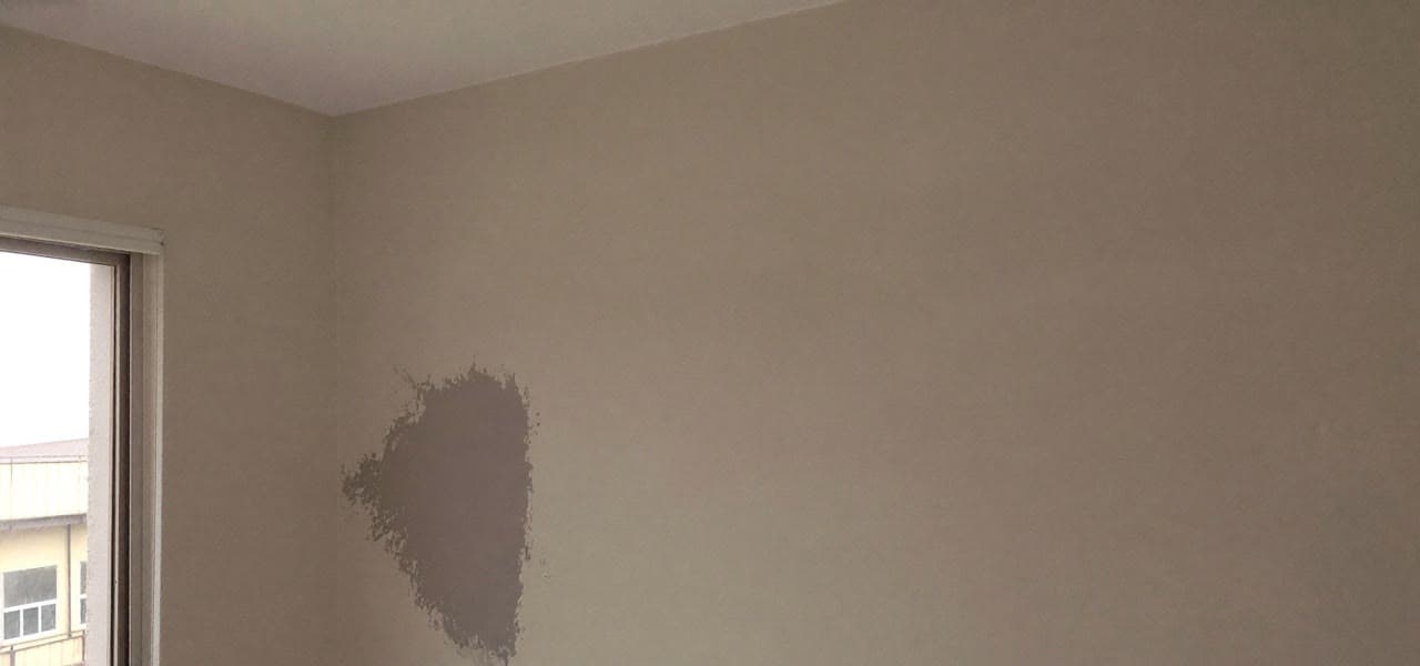 Damp patch and paint blistering on wall corner
